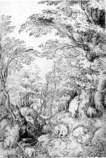 Bears in a Wood engraving