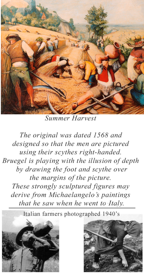 Notes on Summer Harvest